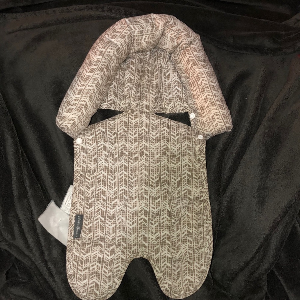 Newborn carseat insert